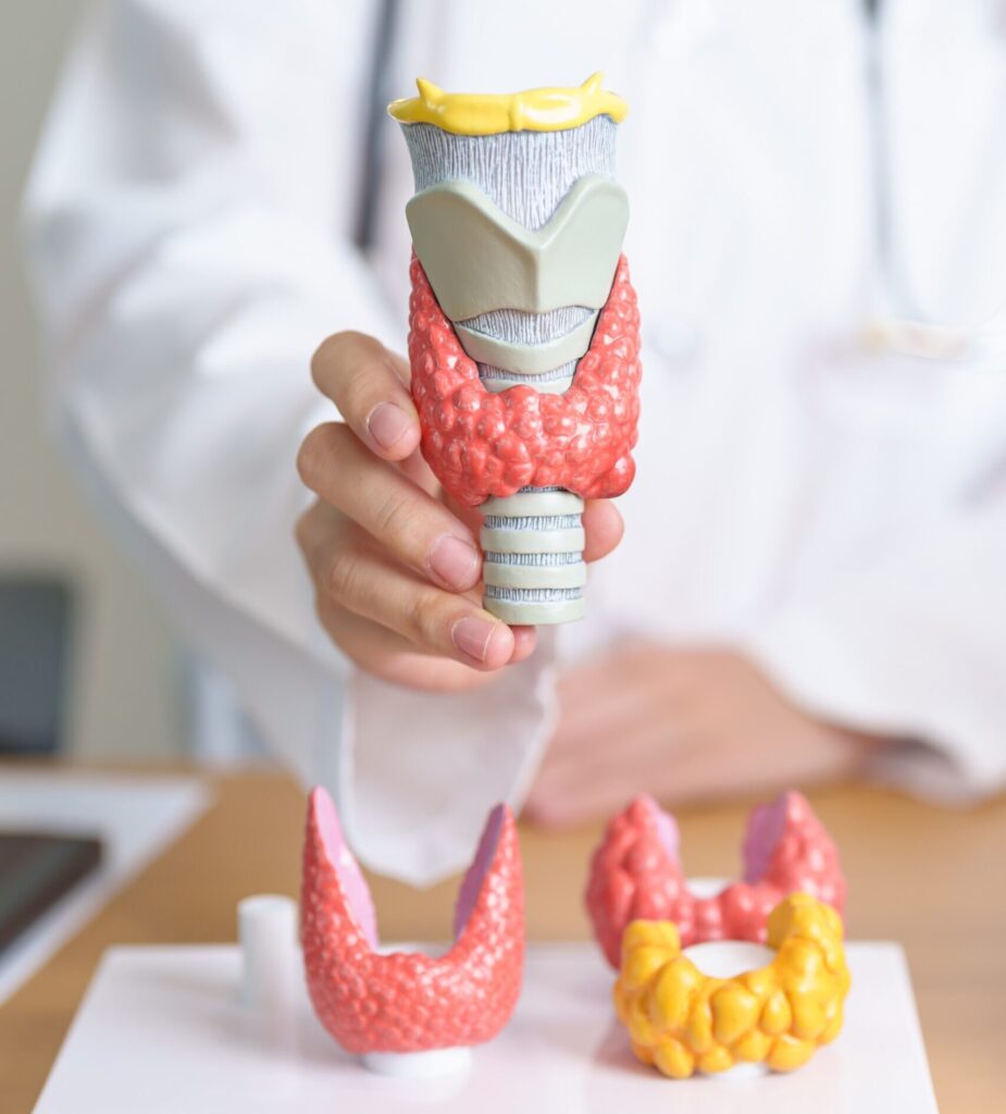 Thyroid Clinic